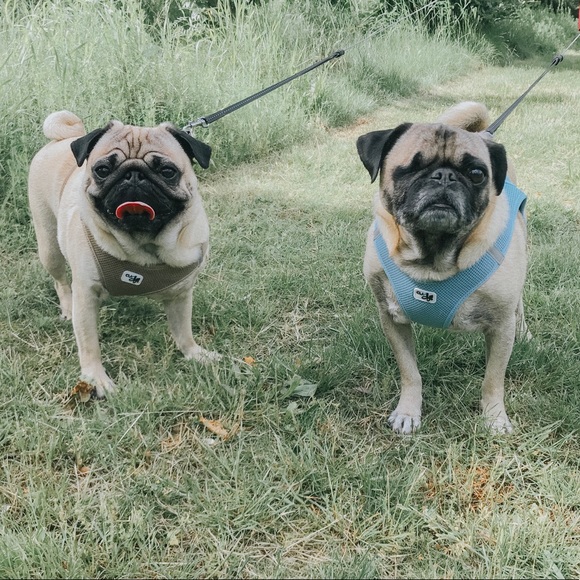 𝕨𝕖𝕝𝕔𝕠𝕞𝕖! - Picture 3 of 4